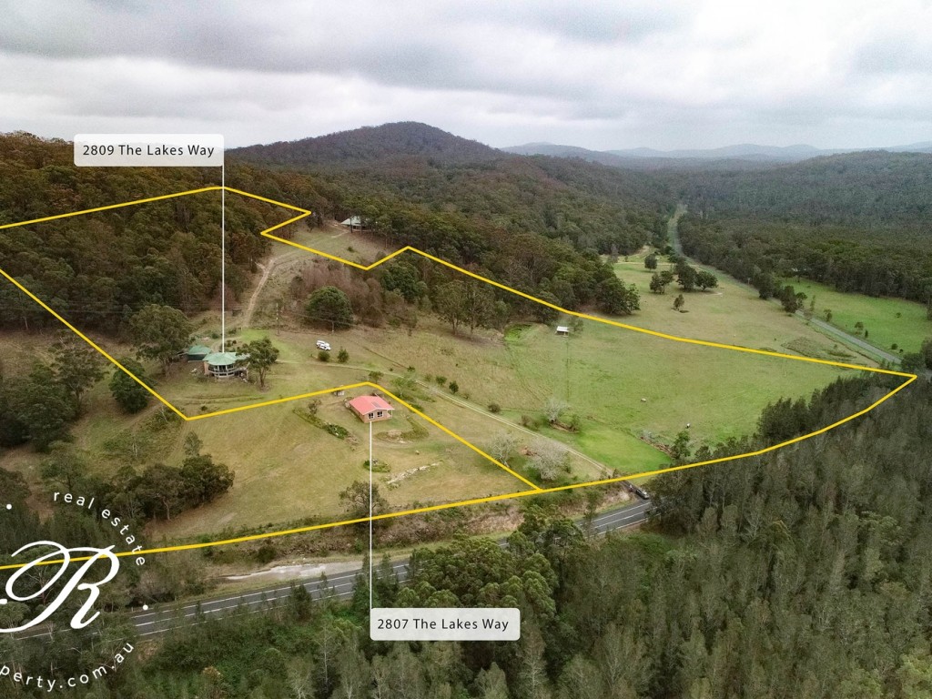 2807-2809 the lakes way bungwahl new south wales - horse