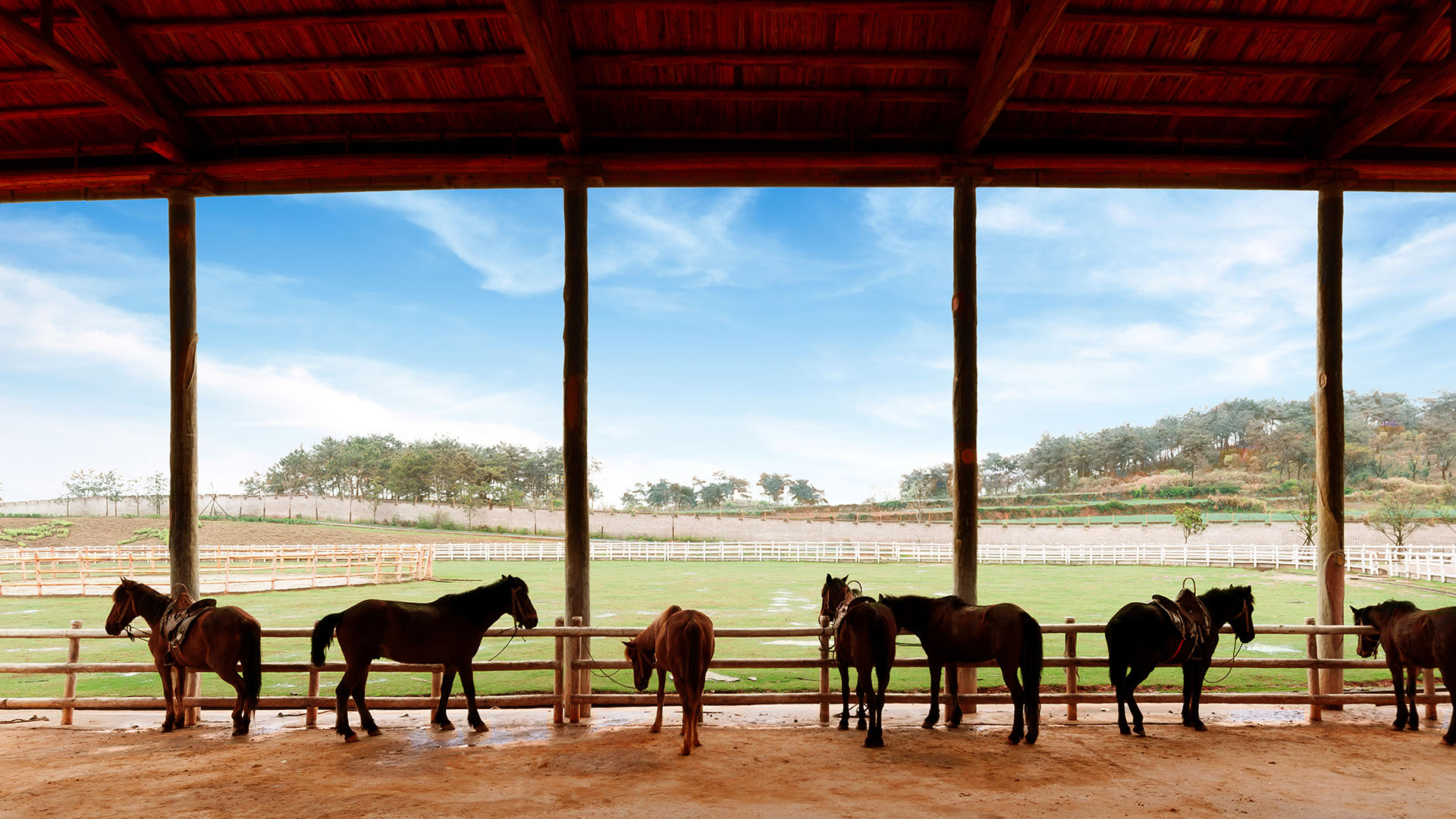 How to Market and Sell a Horse Property Successfully