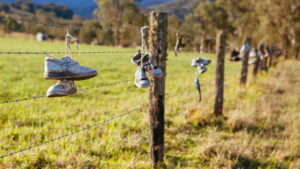 Time to Sell More Australians Buying Acreages