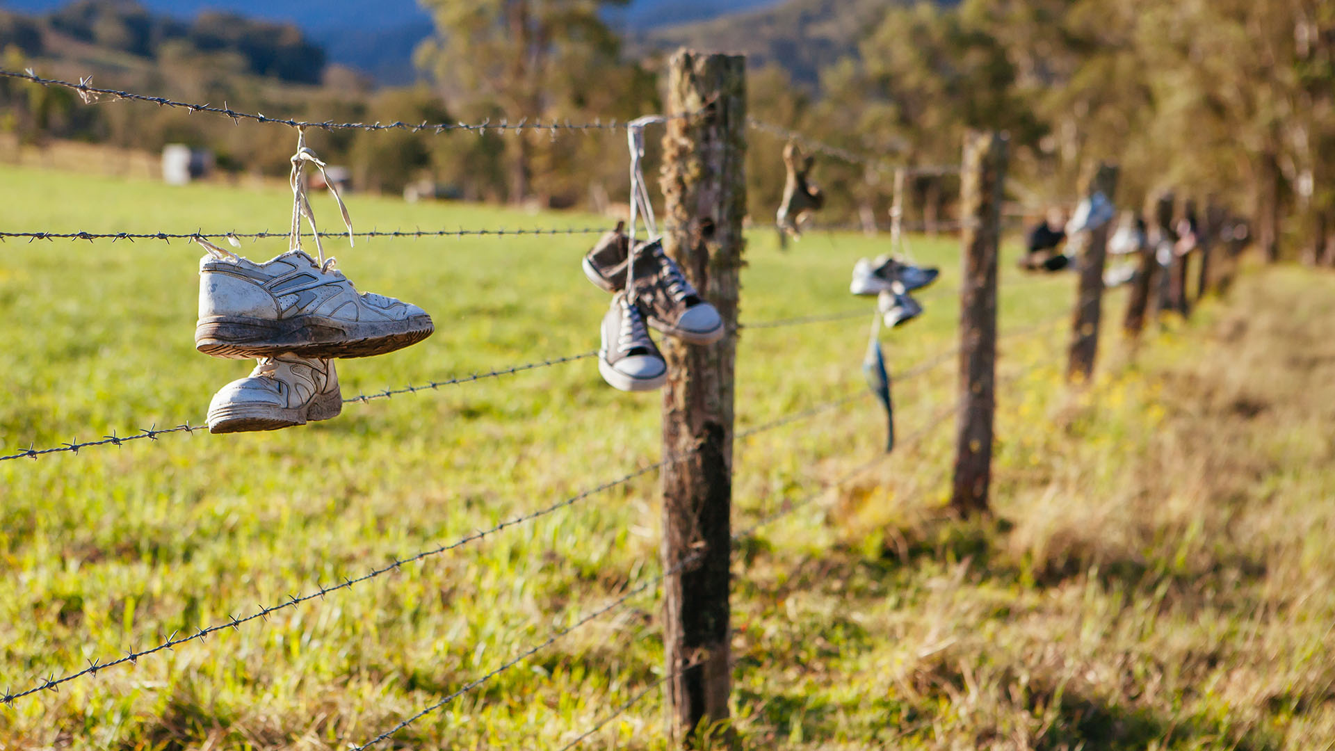 Time to Sell More Australians Buying Acreages