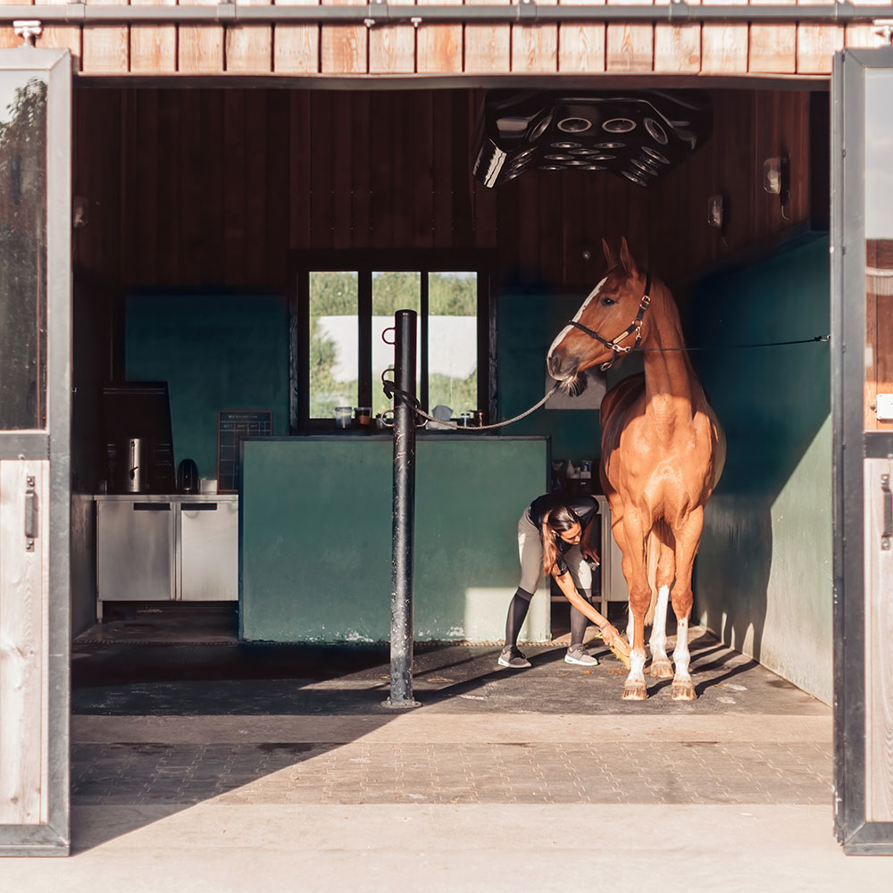 Turnkey Equestrian Facilities-1
