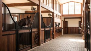 Marketing a horse property Australia